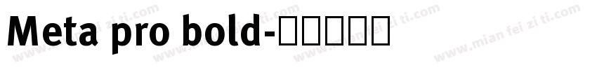 Meta pro bold字体转换